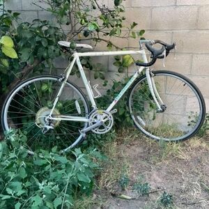 Vintage White Road Bike